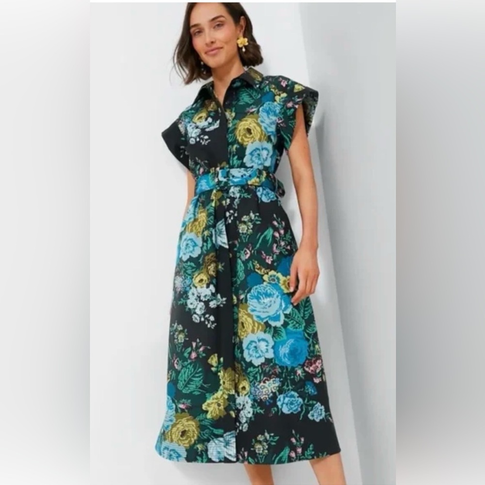 Tuckernuck Chloe XL black verdant dress